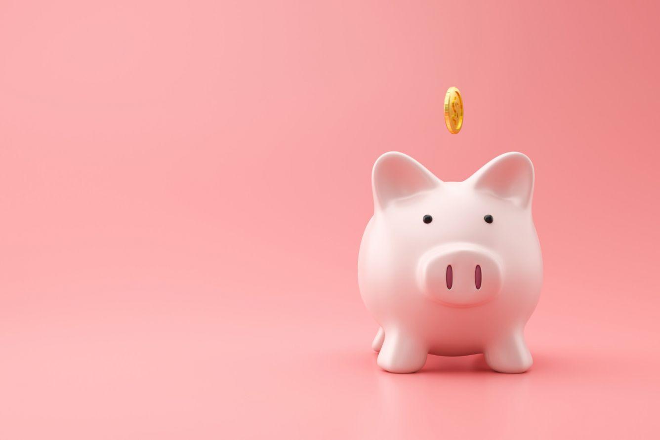 The marketing of a piggy bank – complete freedom to the investor